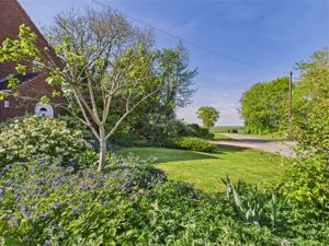 Garden- click for photo gallery